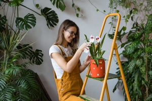 5 Common Mistakes That Kill Your Houseplants